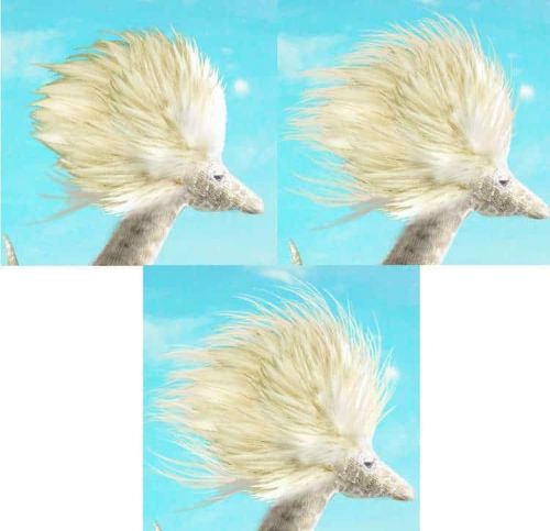 آموزش طراحی موجود خیالی در فتوشاپ